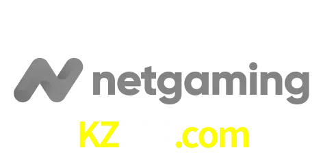 NetGaming